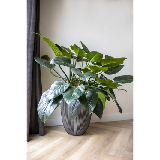 Capi Elegant Groove Vase 46x58 cm Anthracite 445501