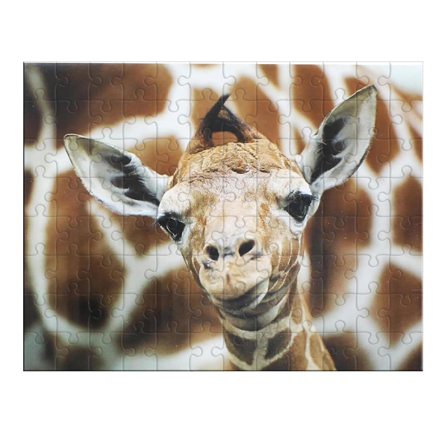 Giraffe 100 Piece Photographic Collection Jigsaw Puzzle