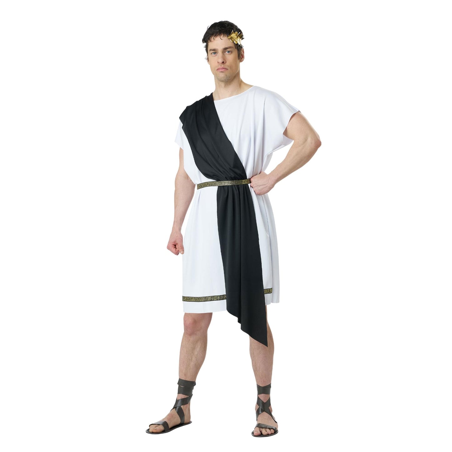 Party Toga Adult Costume | Large/ X-Large