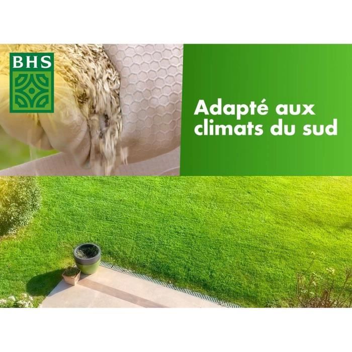 Lawn - BHS - Rustic South Lawn - 10kg - Resistant to dry conditions thanks to tall fescue. Fast and even.