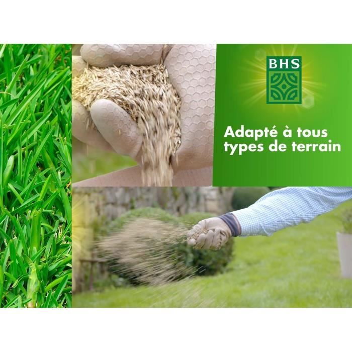 Lawn - BHS - Rustic Lawn 1 KG - Stronger and better protected - Fast and Durable - All Types of Terrain and Climates, Robust