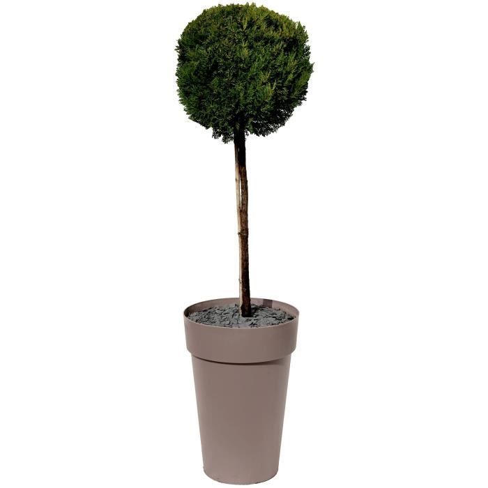 EDA Pot/Tuscan Vase High - Ø 46 x H 65 cm - 67 L - Taupe