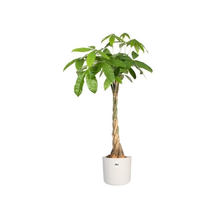 Round flower pot B.FOR - Plastic - Ø25 - White