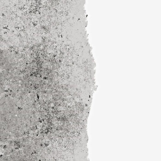 V4HA9FE7D2F9001C08F65868B18A0228EA1R6738809P2