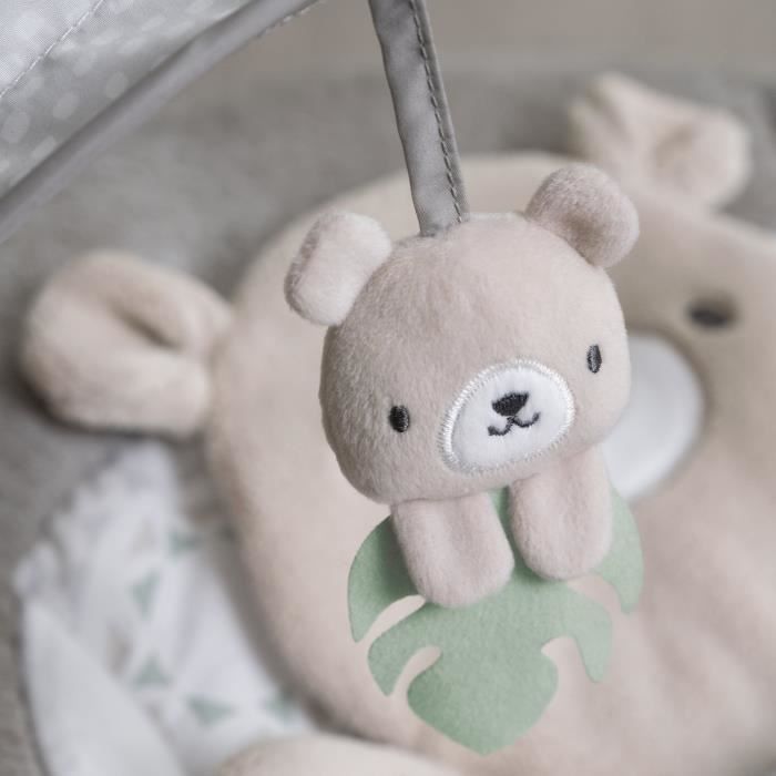 INGENUITY Little Bear Comfort Transat, Luminous Play Arch, Removable Reducer Cushion