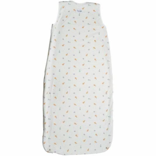 V7H855F3265F1762E55072FF2962A3B7205R4106696P2