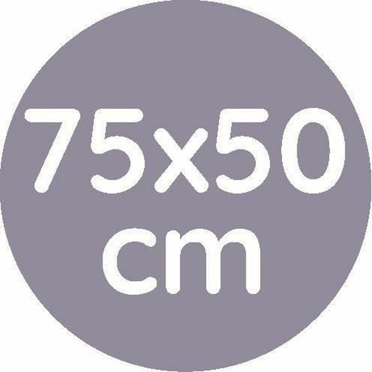 V4H7B2DF4646A9BA07284A25C6B19D837EER4407603P2