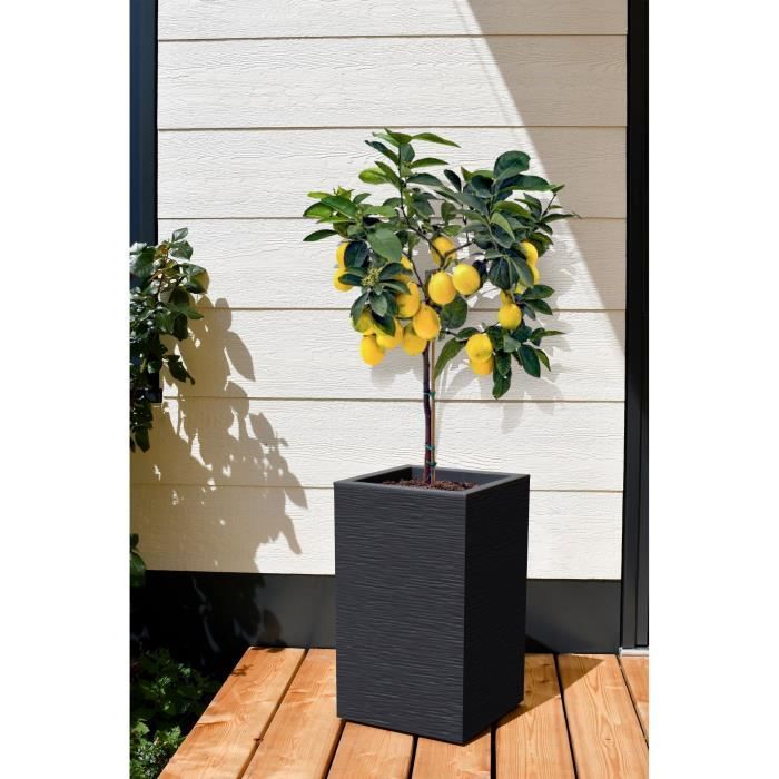 EDA Graphit Up Square Flower Box - 36 L - 29.5 x 29.5 cm x 49.5 cm - Anthracite gray