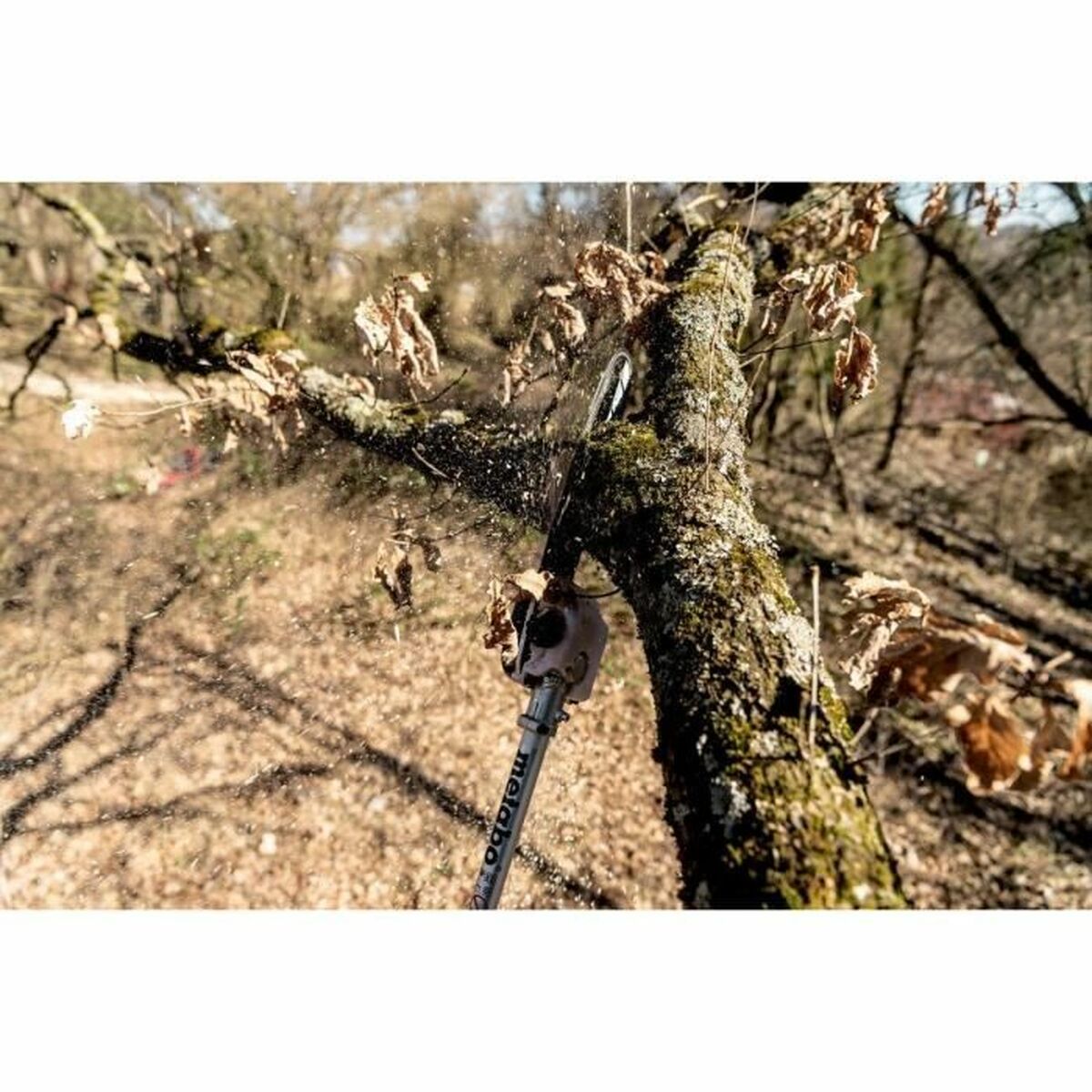 V7H9BD738405C9CDE72FED4831CC00A95CCR7319966P6