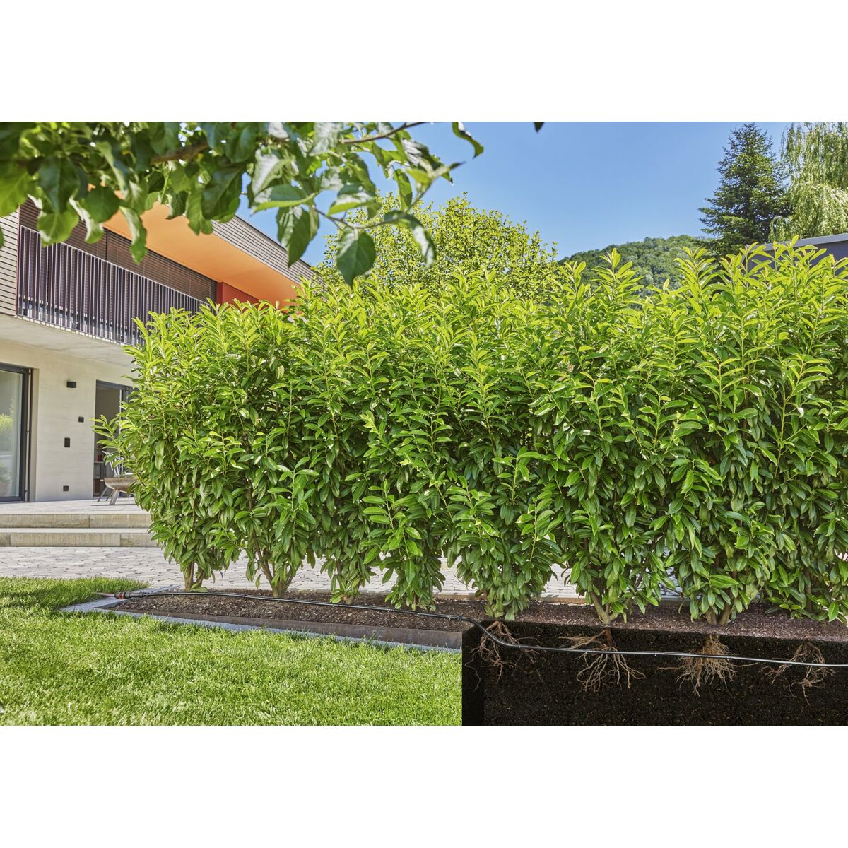 V4HCFC6B2A5B0D2E0D72A33A69905EDC96DR7162853P10