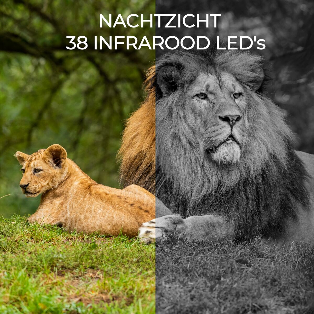 V4HB72FDA90E633FAFEDBEDFD457F39E155R6643284P10