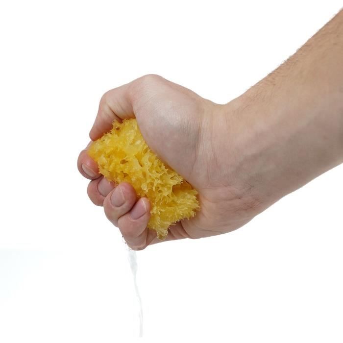 THERMOBABY Eponge de mer honeycomb n ° 10