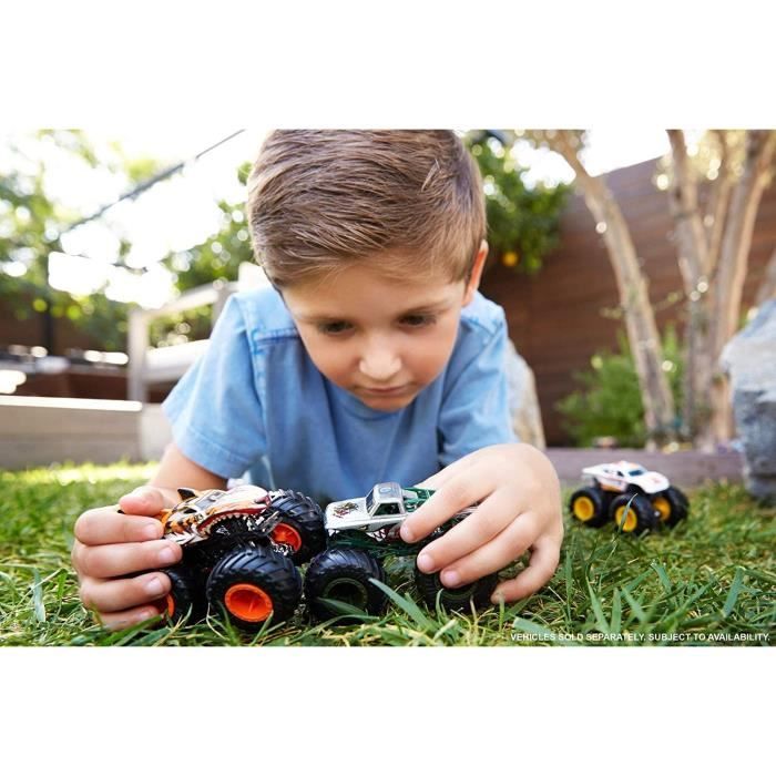 HOT WHEELS - Monster Truck - Mega Wheels and Mega Shocks - Random Model among 48 Monster Trucks - 1:64 Scale