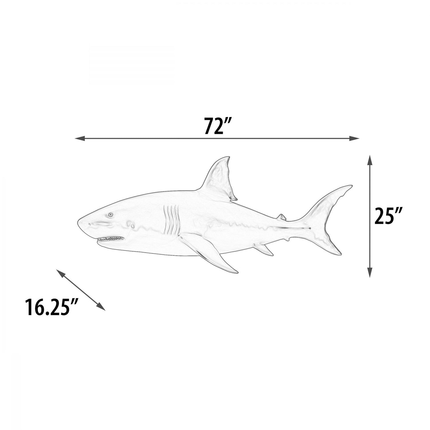 Wall Mounted Great White Shark 6ft