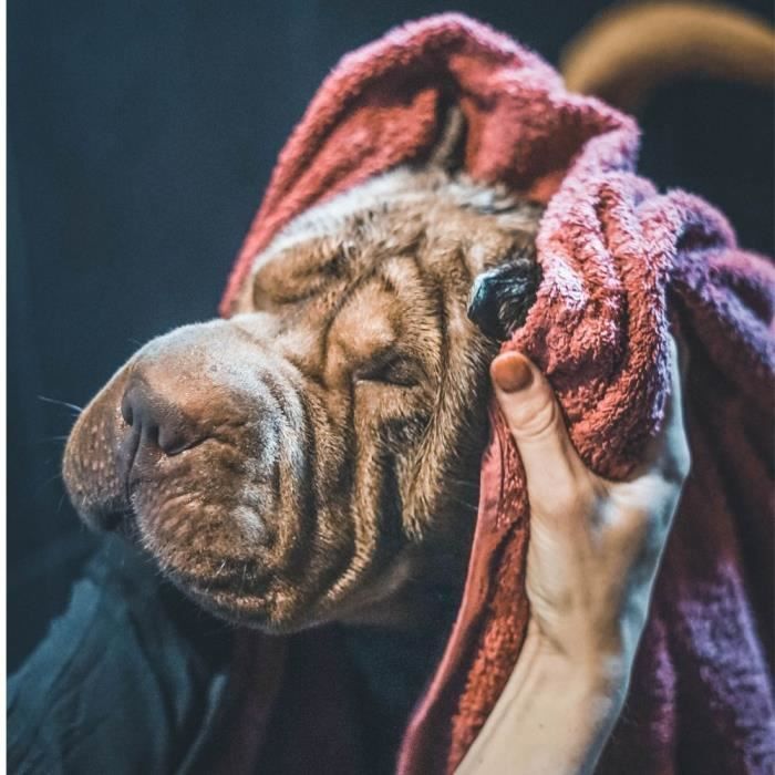 VETOTONIC Tetramethrin shampoo - For dogs and cats