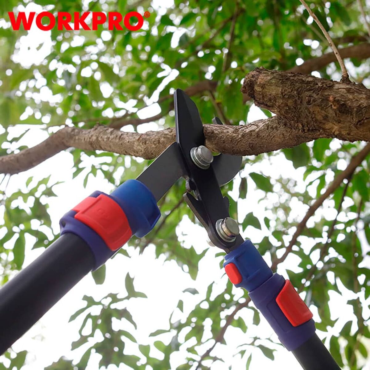 V4HE818BBE325C2484D207CD74A27B760B8R7506171P3