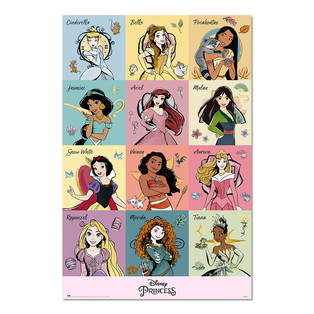 Disney Princess poster
