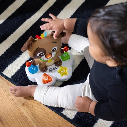 BABY EINSTEIN Multi-sensory educational toy, Music and Lights, Interactive and Multilingual