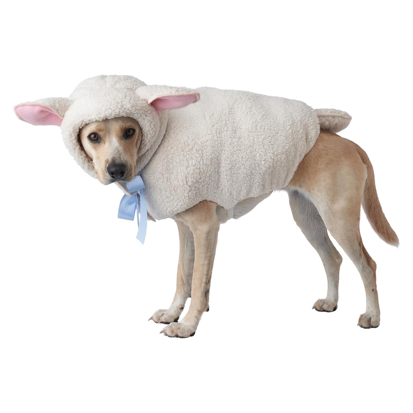 Sheep Dog Costume | Medium