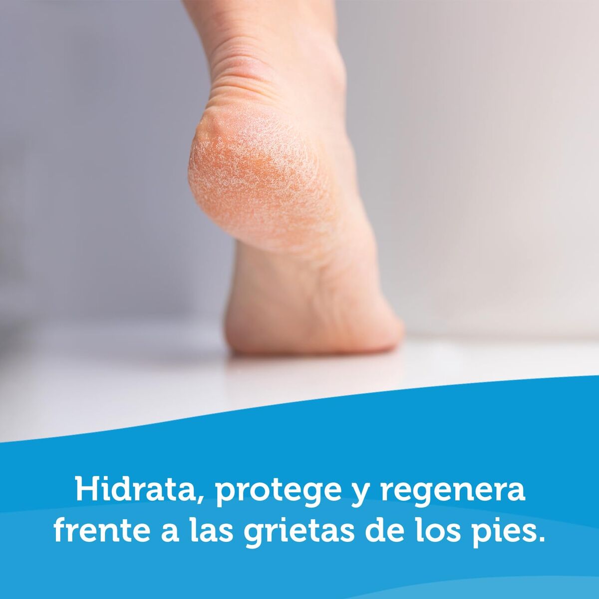 V2HEDEA4B0F637ACE218C5D2CEFA8A7EEA9R7714572P7