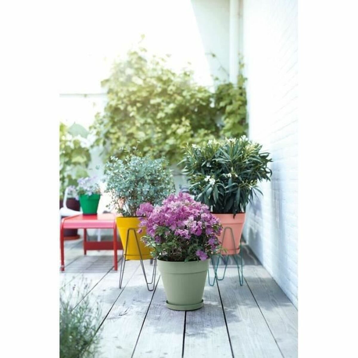 V7HF1BD483746D8234AD9B7AA969EF1F514R3441363P6