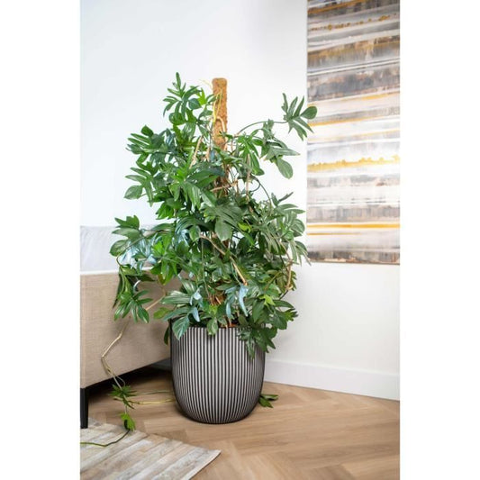Ball flower pot - CAPI EUROPE - GROOVE NL - 43 x 41 cm - Anthracite
