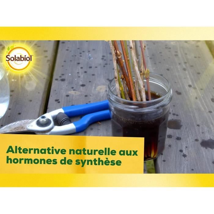 SOLABIOL SOBOUTU40 Osiryl cutting - 40 ml