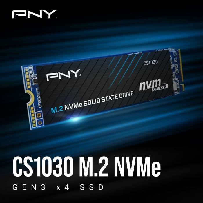 Internal Solid State Drive - PNY - CS1030 M.2 GEN3 - 250 GB - NVMe (M280CS1030-250-RB)