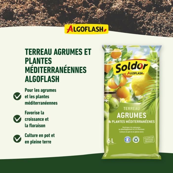 ALGOFLASH - Citrus and Mediterranean Plant Soil 6 L