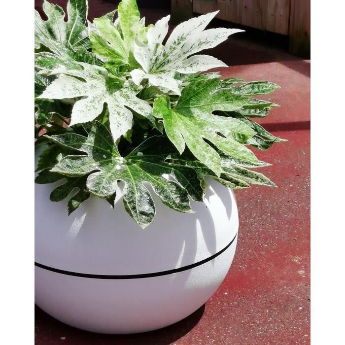 RIVIERA GRANIT BOULE round flower box - Plastic - Diameter 50 cm - White