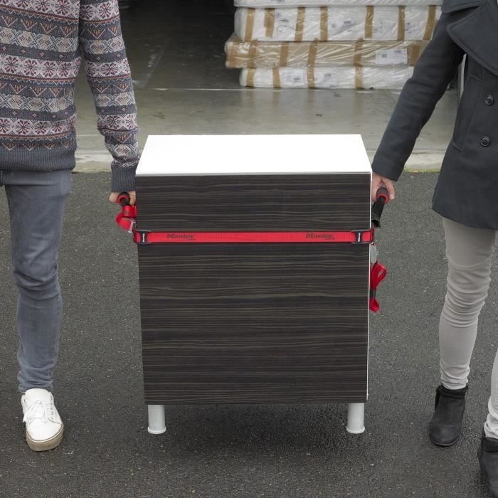 MASTER LOCK Set of 2 straps for moving - Resistance 80kg