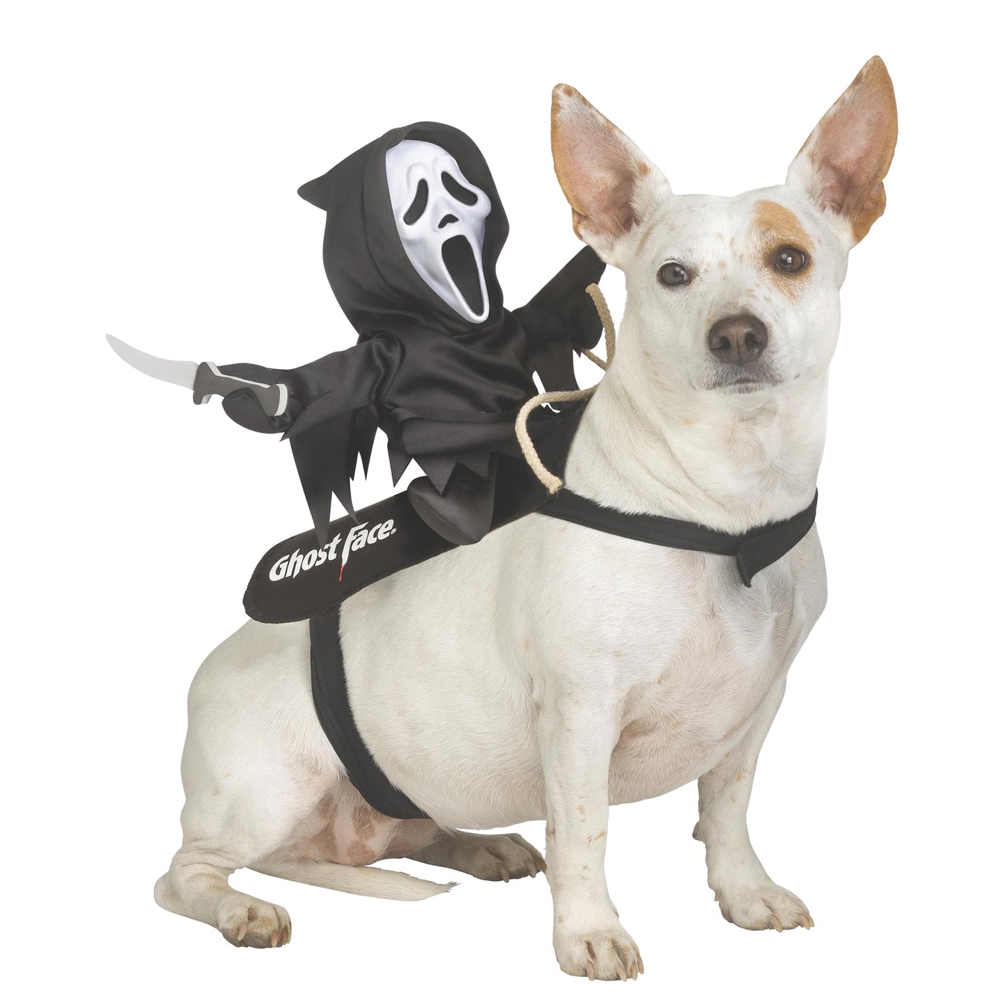 Ghost Face Rider Vest Pet Costume | S/M