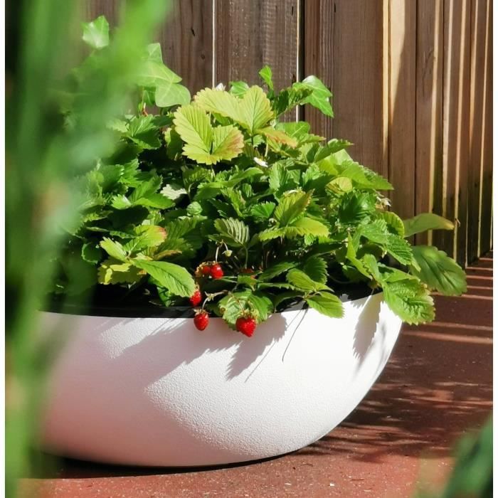 Riviera - Flower pot cut - Granite D40 - White