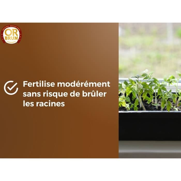 Seed Soil - BROWN GOLD - OBRTSEM6U - 6L - Improves Drainage - Optimal Water Retention