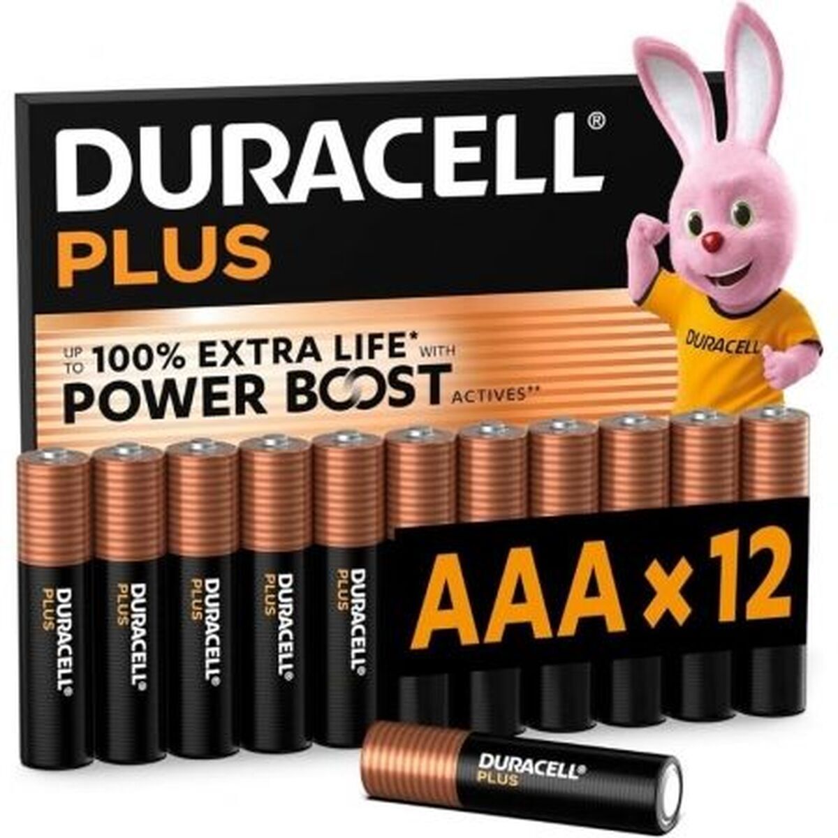 Disposable Batteries