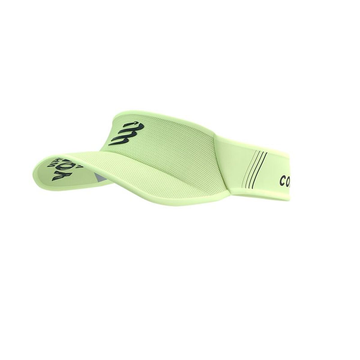 Visors
