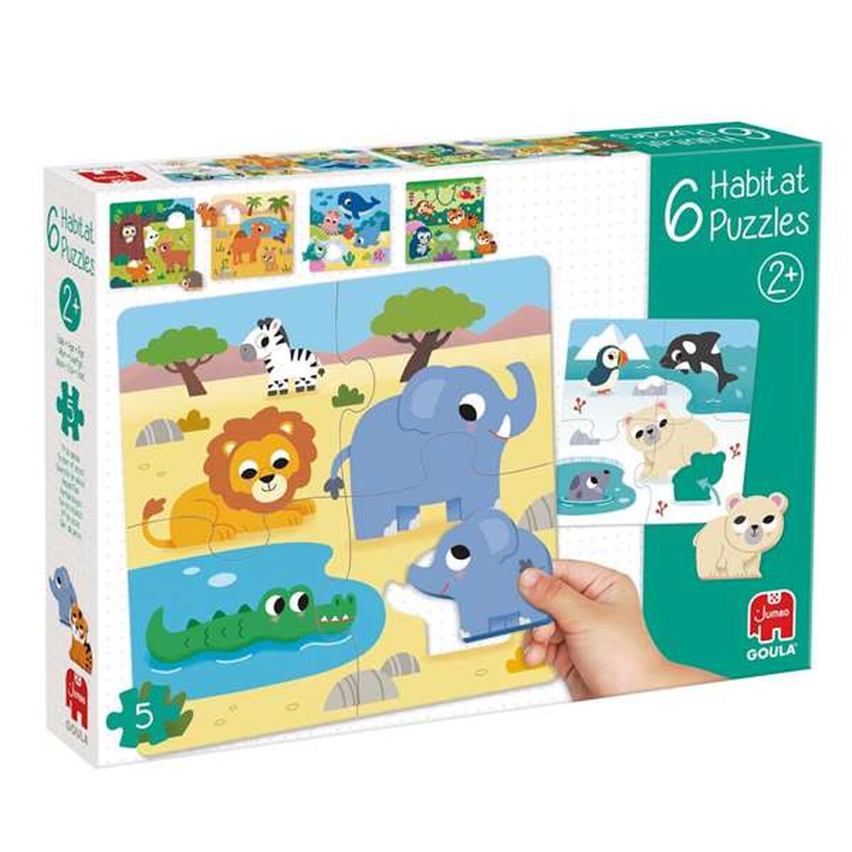 Puzzles and brain teasers