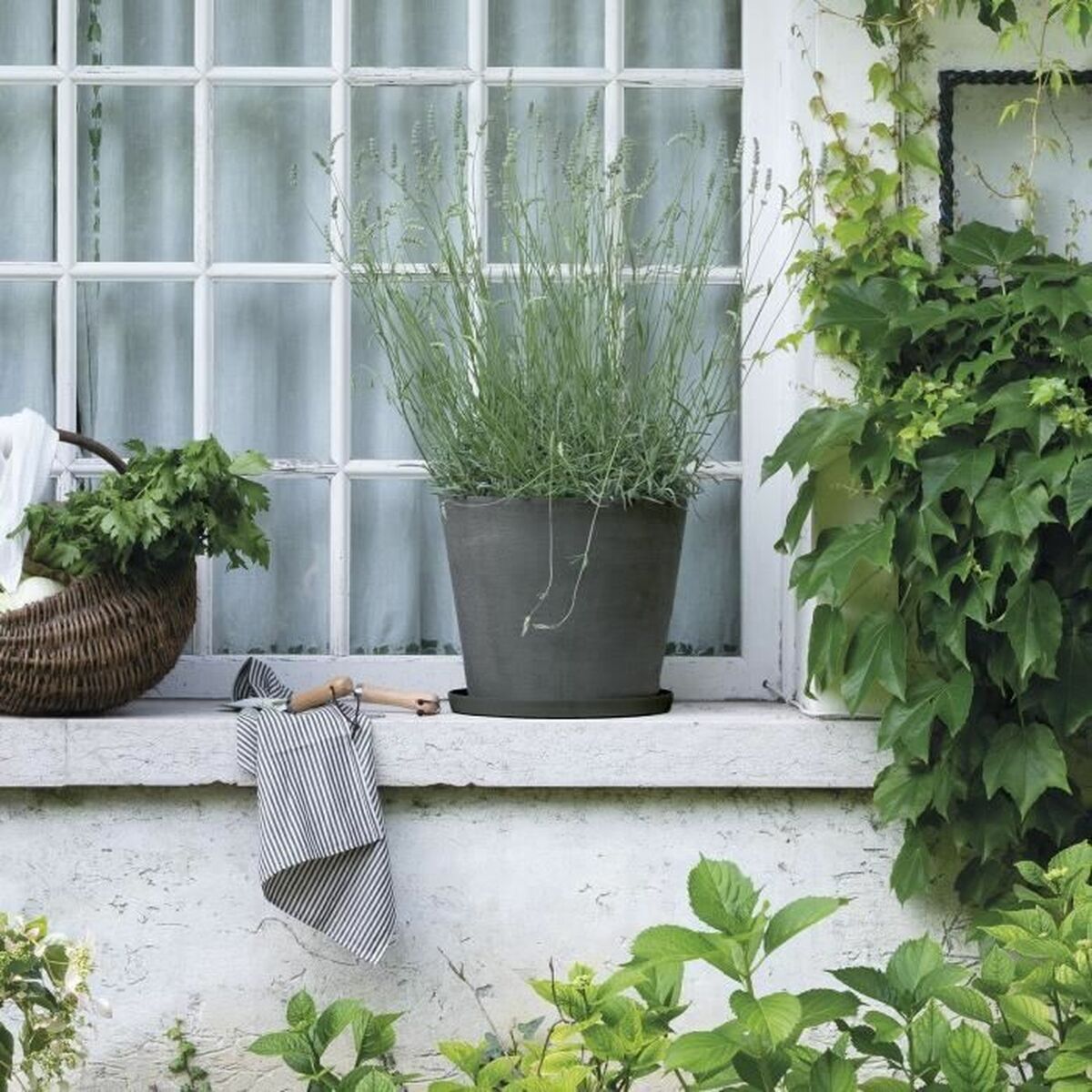 V4H7195E2A63F0773283708AC53AA057845R7024866P2