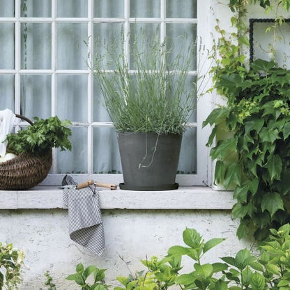 V4HD9A800DE749900E124C5FCB76DBBCBE2R7383771P2