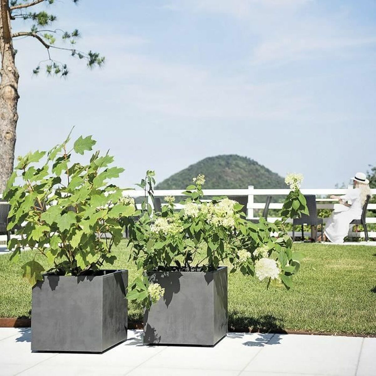 V4H9ED1967582F903DE9AFEF2C52CCCF9A9R7023766P6