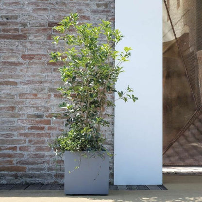 V3H4BD9B477E9C1633E8F6FFFF970988A73R5927905P2