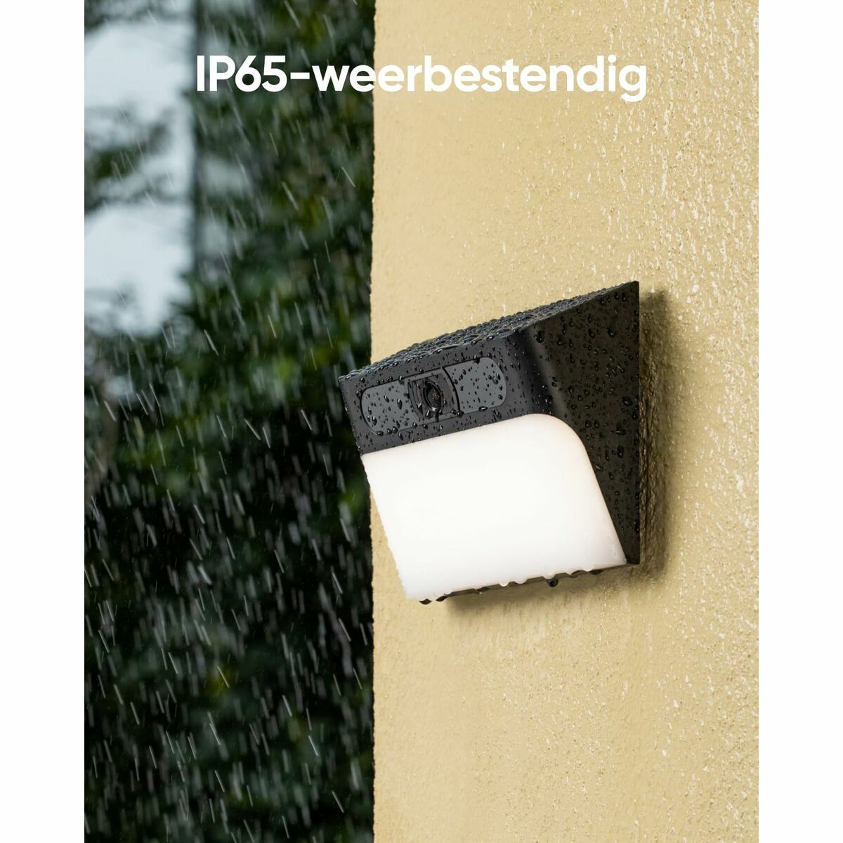 V3H5043E42312A60081F3A6CD4AB8B9E06FR6170602P10