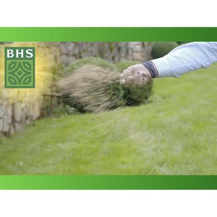 Lawn - BHS - Lawn Regrowth 5kg