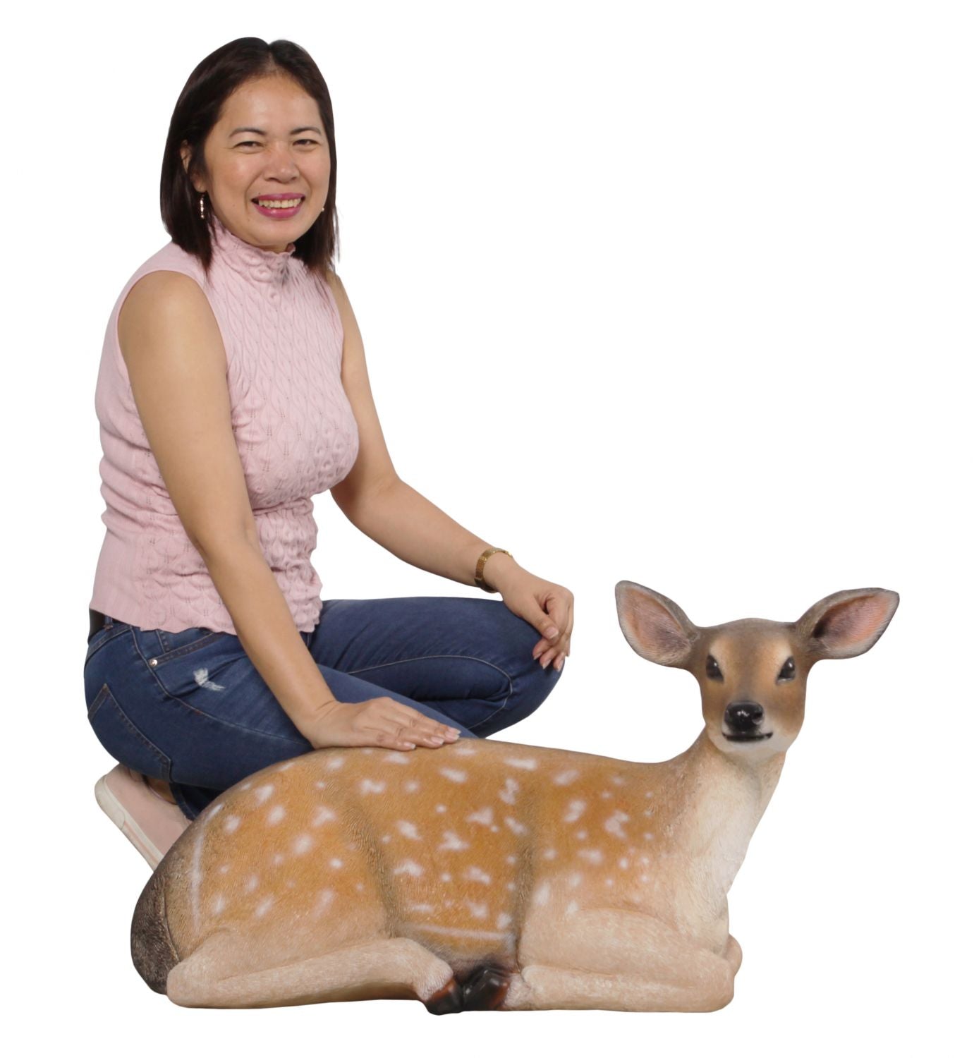 Fallow Deer Fawn Lying Down