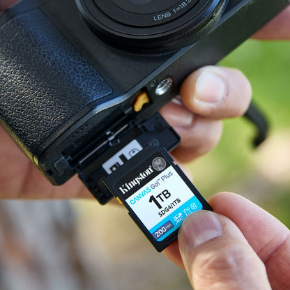 V3H45657E5A8F312991F8CB59645DAEF48DR7296679P9