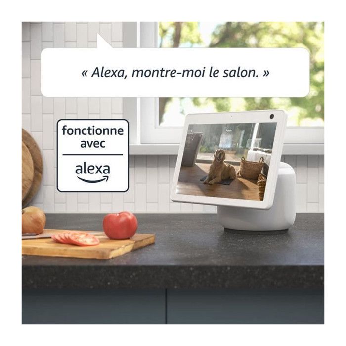 Mini Pan-Tilt Camera - BLINK HOME SECURITY - White