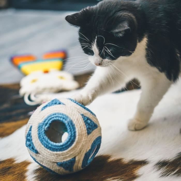 XXL Scratching Post - AIMÉ - Blue Ball + 1 Ball 11.5cm