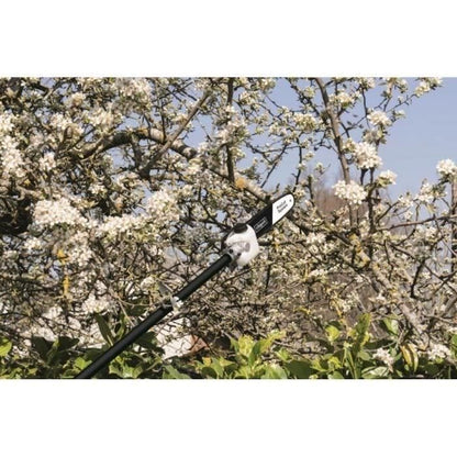 SCHEPPACH 52CC 4 in 1 petrol brush cutter (brush cutter, pruner, hedge trimmer, edger)