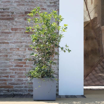 Cube Flower Pot - DEROMA - Millennium R - Ashgrey - Self-Watering - 39 cm