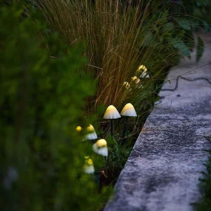 10 mini solar light mushrooms to stick - LUMISKY - CHAMPY - 3.8 m - Path marking - Warm white LED